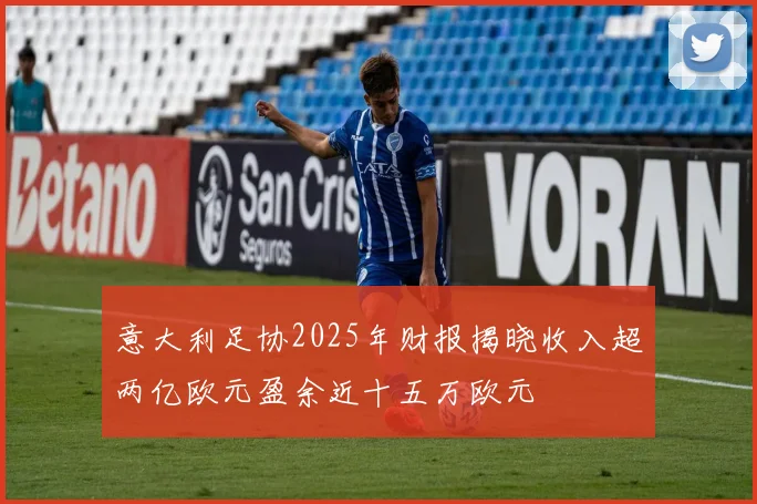意大利足协2025年财报揭晓收入超两亿欧元盈余近十五万欧元