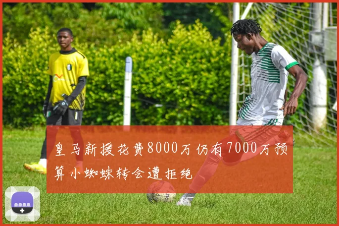皇马新援花费8000万仍有7000万预算小蜘蛛转会遭拒绝
